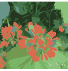 Sophon - Paintbrush