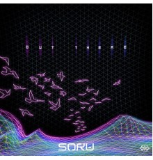 Soru - Out There