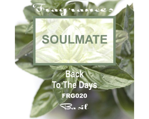 Soulmate - Back To The Days