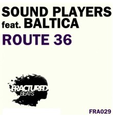 Sound Players - Route 36