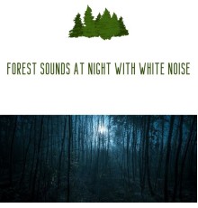 Sound of Nature Library, White Noise Spa, Forest at Night Sounds, AP - Forest Sounds at Night with White Noise, Loopable