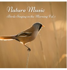 Sounds Dogs Love, relax tunes, Calm Singing Birds Zone - Nature Music: Birds Singing in the Morning Vol. 1