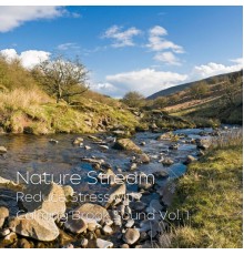 Spa Atmospheres, 101 Noise, The Nature Project - Nature Stream: Reduce Stress with Calming Brook Sound Vol. 1
