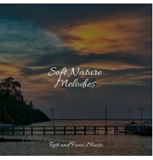 Spa Relaxation, Classical Lullabies, Entspannungsmusik - Soft Nature Melodies