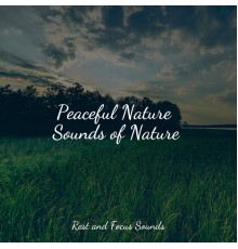 Spa Relaxation, Especialistas de Musica para Dormir, Kinderlieder Megastars - Peaceful Nature Sounds of Nature