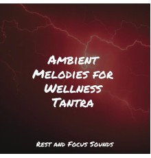 Spa Relaxation, White Noise for Babies, Calm shores - Ambient Melodies for Wellness Tantra