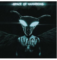 Space Of Variations - IMAGO