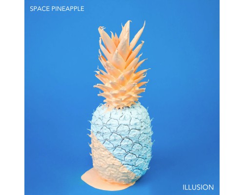 Space Pineapple - Illusion