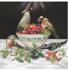 Sparrows - Berries