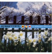 Spearmint - A Different Lifetime