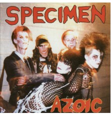 Specimen - Azoic