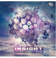 Spectree, Chronica, Sartor - Insight