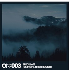 Speculate - Forever / Afterthought