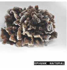 Sphunk - Natural