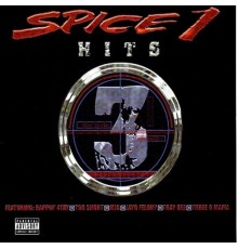 Spice 1 - Hits Vol. 3