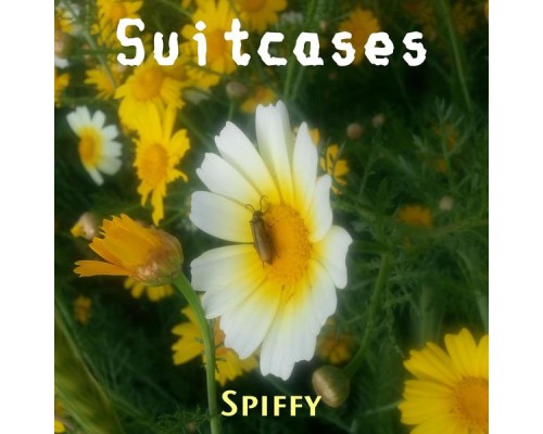 Spiffy - Suitcases