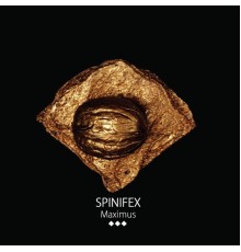 Spinifex - Maximus