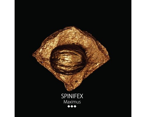 Spinifex - Maximus