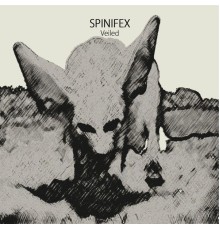 Spinifex - Veiled