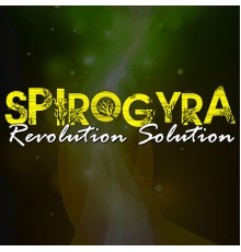 Spirogyra - Revolution Solution