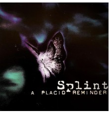 Splint - A Placid Reminder