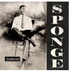 Sponge - Lavatorium