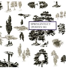 Springintgut - Posten 90