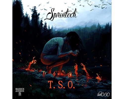 Sprintech - T.S.O.