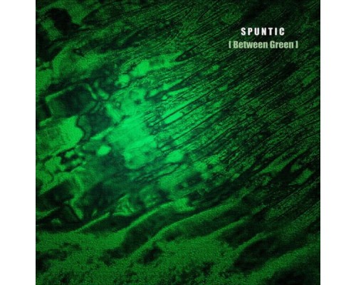 Spuntic - Between Green