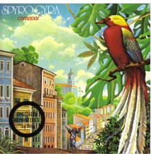 Spyro Gyra - Carnaval