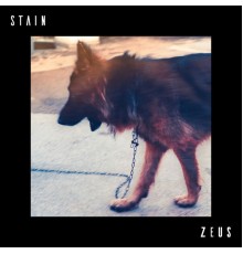 Stain - ZEUS