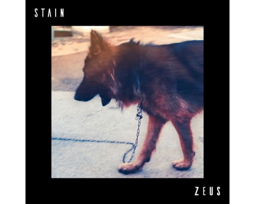 Stain - ZEUS
