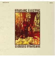 Starling Electric - Clouded Staircase