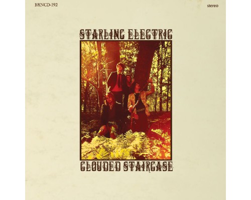 Starling Electric - Clouded Staircase