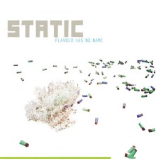 Static - Flavour Has No Name