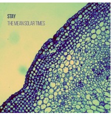 Stay - The Mean Solar Times