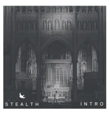 Stealth - Intro