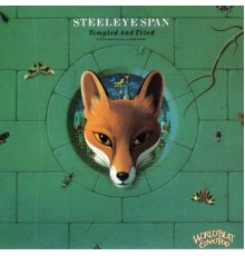 Steeleye Span - Tempted And Tried