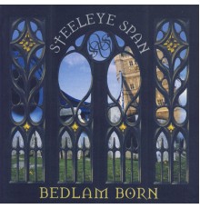 Steeleye Span - Bedlam Born