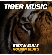 Stefan Elray - Rockin Beats