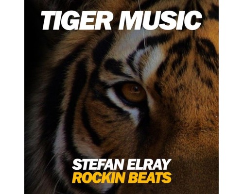 Stefan Elray - Rockin Beats