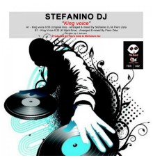 Stefanino DJ - King Voice