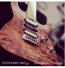 Steffen Brix Trio - Standard Protocol