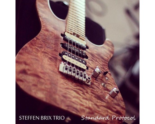 Steffen Brix Trio - Standard Protocol