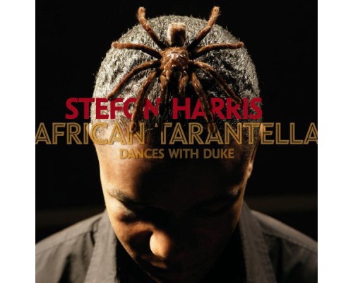 Stefon Harris - African Tarantella