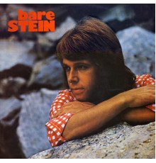 Stein Ingebrigtsen - Bare Stein