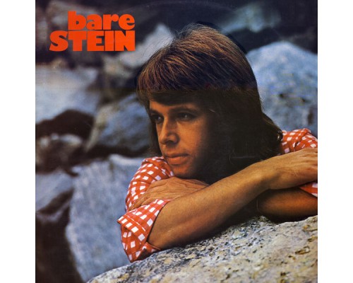 Stein Ingebrigtsen - Bare Stein