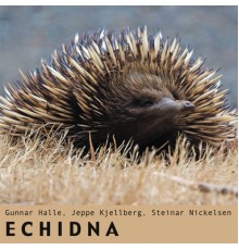 Steinar Nickelsen - Echidna