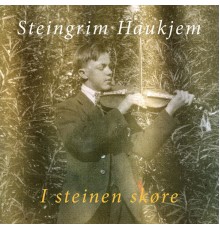 Steingrim Haukjem - I steinen skøre