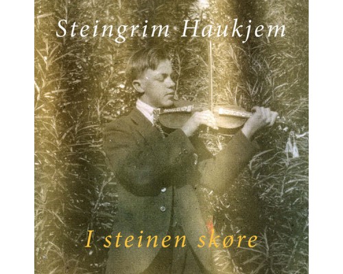 Steingrim Haukjem - I steinen skøre